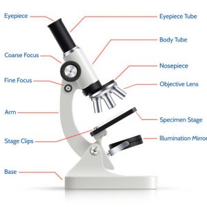 Science Kits for Kids - Shop - Asia Scientific Apparatus Co